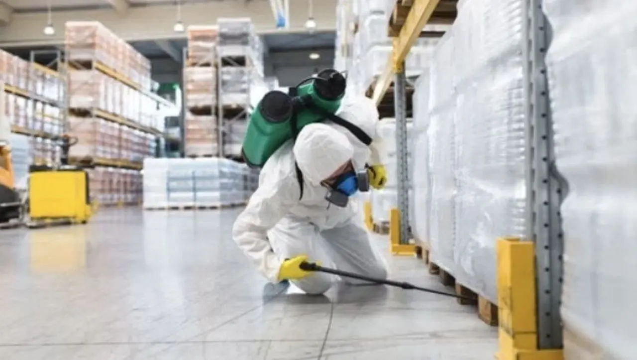 افضل شركة مكافحة حشرات