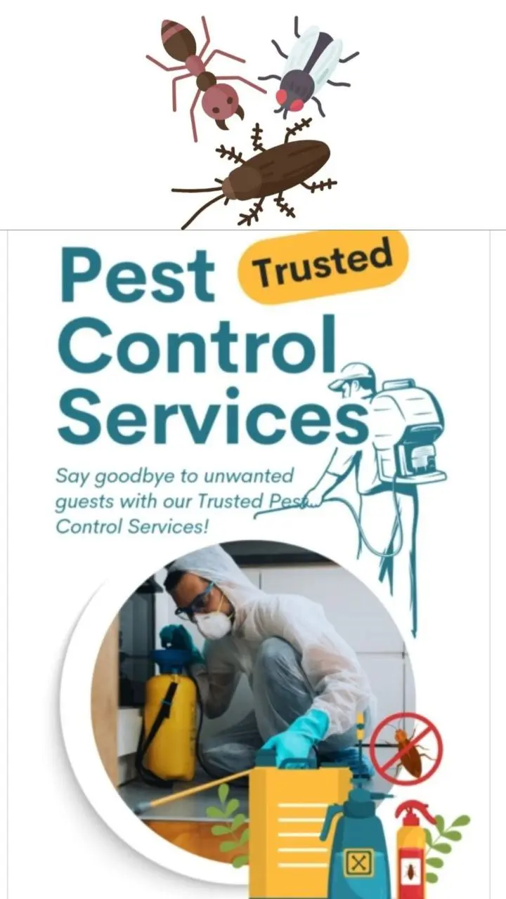 افضل شركة خدمات مكافحة الحشرات