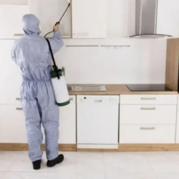 افضل شركة مكافحة الحشرات والصراصير