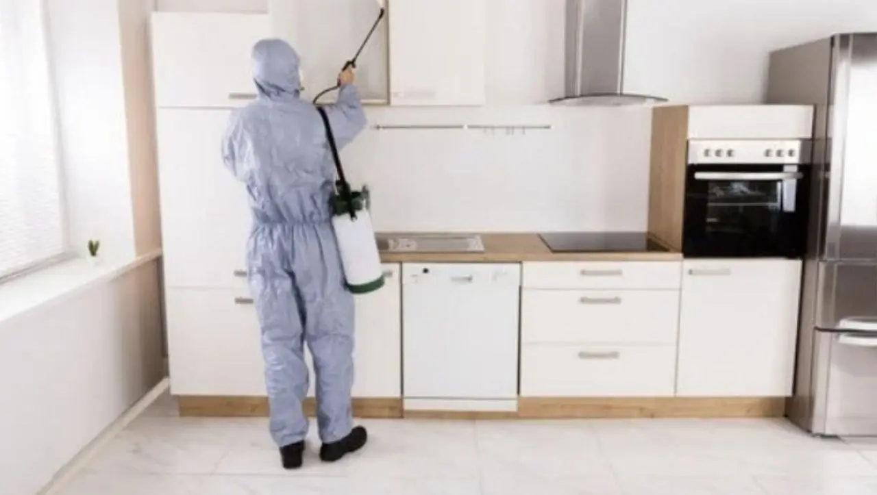افضل شركة مكافحة الحشرات والصراصير