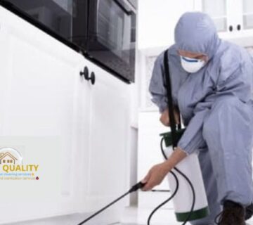 افضل خدمات مكافحة الحشرات