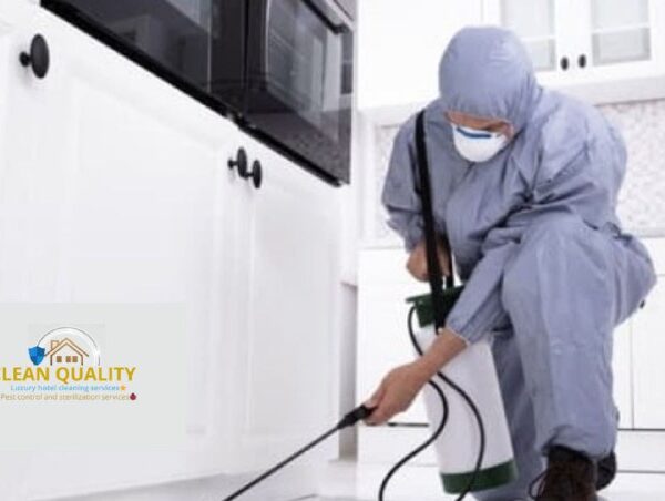 افضل خدمات مكافحة الحشرات