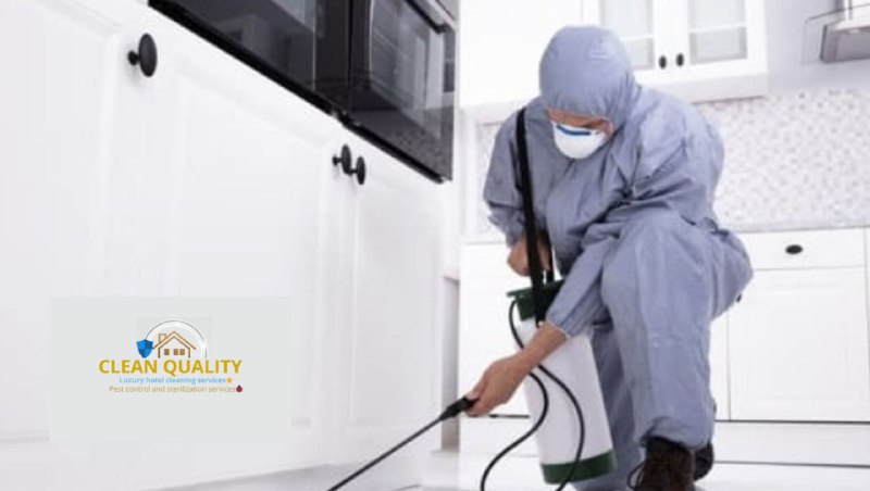 افضل خدمات مكافحة الحشرات