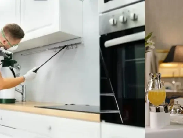 افضل خدمات افضل مكافحة حشرات صراصير بق فئران ناموس هاموش