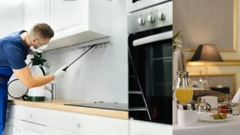 افضل خدمات افضل مكافحة حشرات صراصير بق فئران ناموس هاموش