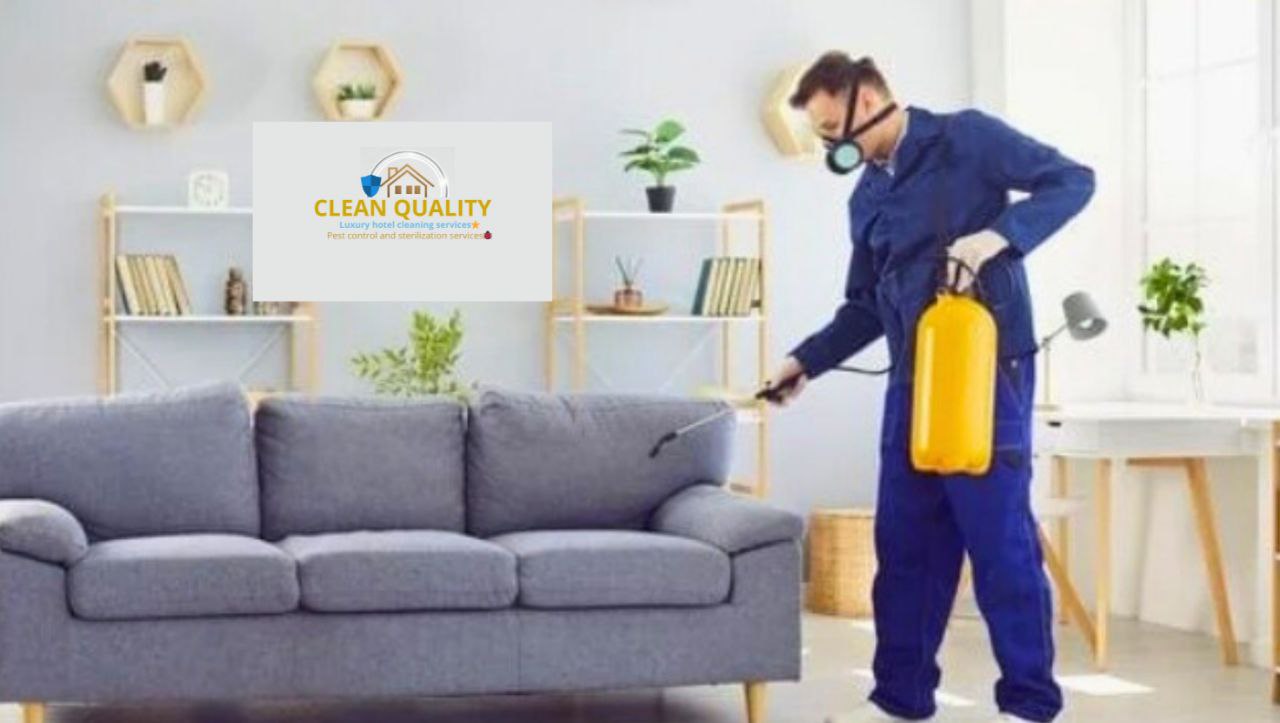 افضل خدمات مكافحة الحشرات