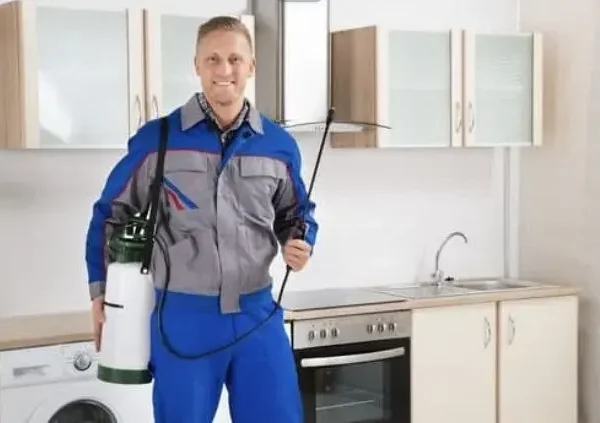 افضل خدمات مكافحة الحشرات