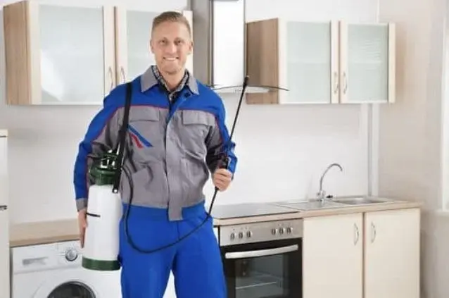 افضل خدمات مكافحة الحشرات