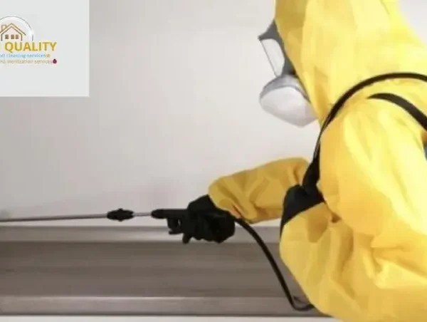 افضل خدمات مكافحة الحشرات