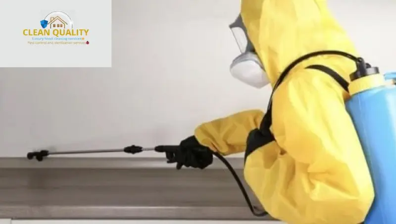 افضل خدمات مكافحة الحشرات